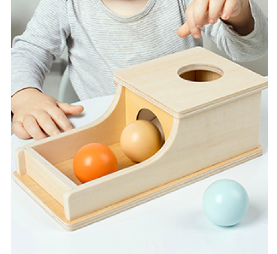 Wooden Montessori-Style Learning Toy