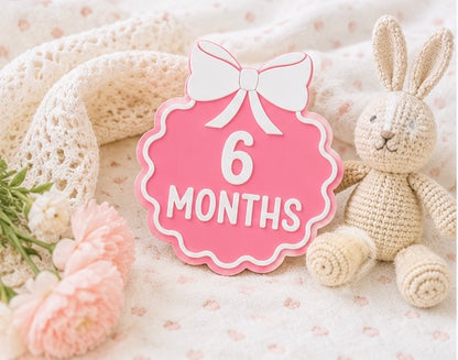 Baby Monthly Milestone Discs| Hello World Milestone| One Month to One Year Milestone| Photo Prop | Baby Shower Gift | First Birthday Keepsake