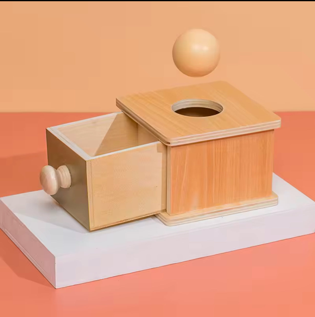 Wooden Montessori-Style Learning Toy