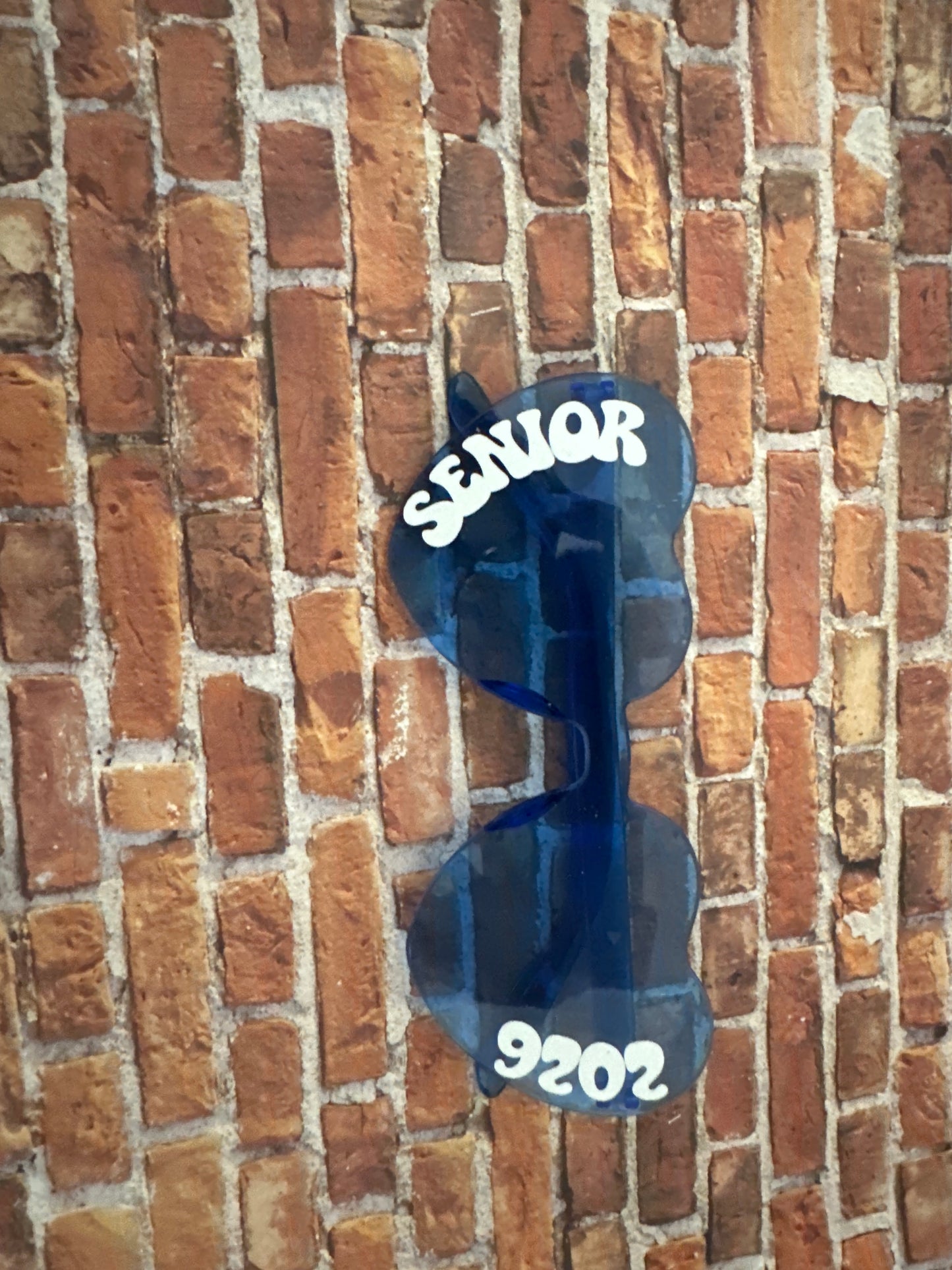 Senior 2026 Rimless Heart-Shaped Sunnies | Rimless Novelty Sunglasses| Perfect for Occasions